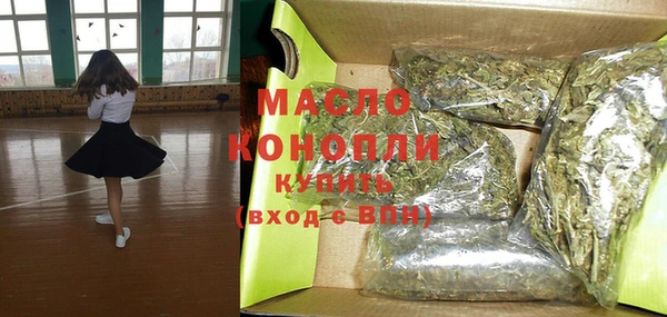 молекула духа Богородицк
