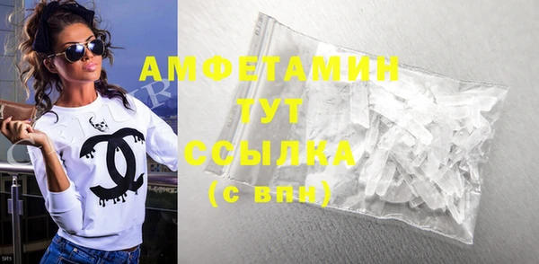 молекула духа Богородицк