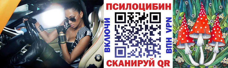 Галлюциногенные грибы прущие грибы  Приволжский 